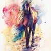 Colored Horse paint by numbers