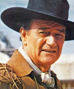 John Wayne Paint by numbers