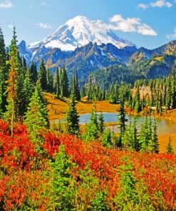 Mount Rainier Paint by numbers