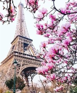 Pink Blossom in Paris paint by numbers