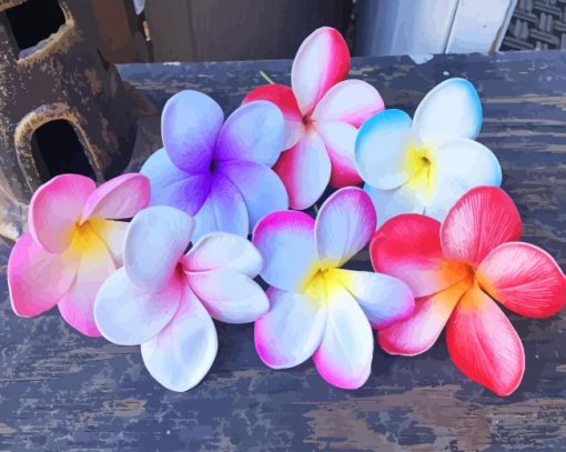 Plumeria Flowers Paint by numbers