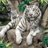 White Tiger Family Paint by numbers