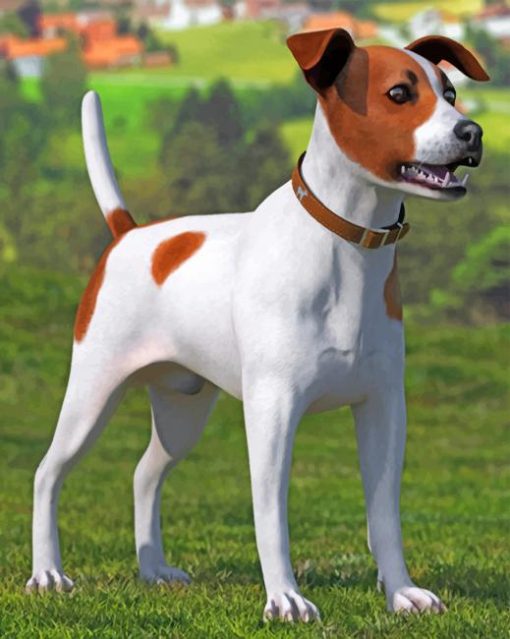 Spotted Jack Russell Terrier Paint by numbers