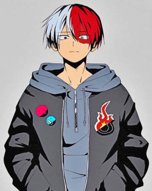 Todoroki My Hero Academia Paint by numbers