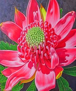 Waratahs Native Australian Flower Paint by numbers