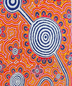 Aesthetic Aboriginal Artwork Paint by numbers