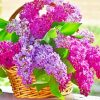 Aesthetic Basket Of Lilac Flowers Paint by numbers