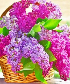 Aesthetic Basket Of Lilac Flowers Paint by numbers