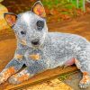 Aesthetic Blue Heeler Puppy Paint by numbers