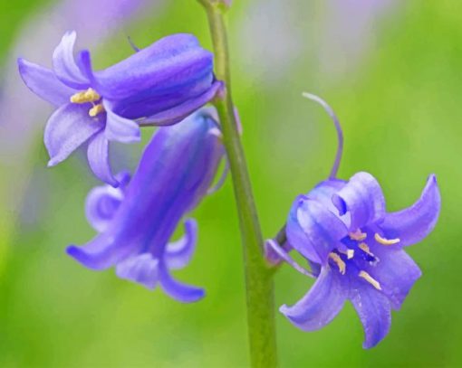 Aesthetic Bluebells Paint by numbers