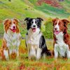 Aesthetic Border Collies paint by numbers