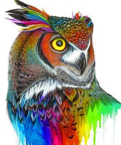 Aesthetic Colorful Owl paint by numbers