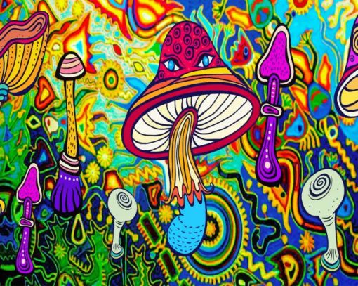 Aesthetic Psychedelic Art paint by numbers