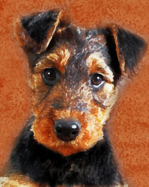 Airedale Terrier Puppy paint by numbers