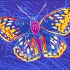 Andy Warhol Butterfly Paint by numbers