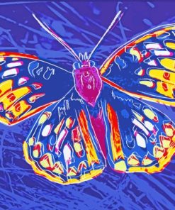 Andy Warhol Butterfly Paint by numbers