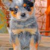 Australian Catle Dog Blue Heeler Paint by numbers