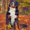 Bernese M Paint by numbersountain Dog Fall