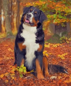 Bernese M Paint by numbersountain Dog Fall