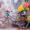 Bicycle With Flowers Paint by numbers