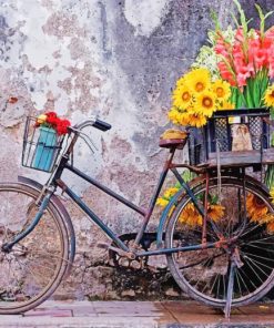 Bicycle With Flowers Paint by numbers