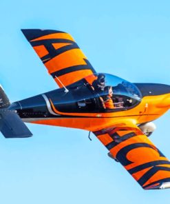 Black And Orange Airplane Paint by numbers