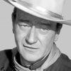 Monochrome John Wayne Paint by numbers