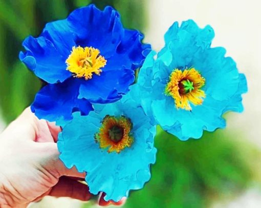 Blue And Cyan Poppy Flowers Paint by numbers