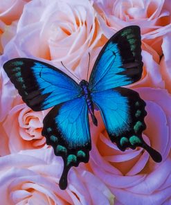 Blue Butterfly paint by numbers