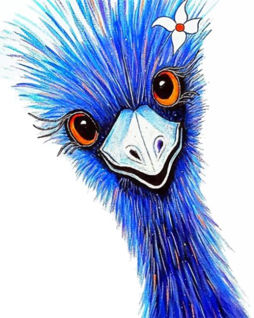 Blue Emu Bird paint by numbers