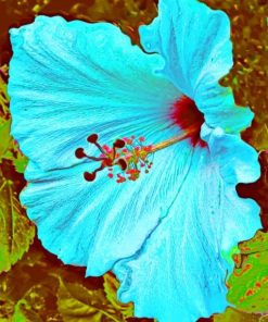 Blue Hibiscus Flower Paint by numbers