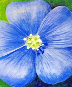 Blue Poppy Flower Paint by numbers