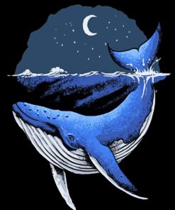 Blue Whale Illustration paint by numbers