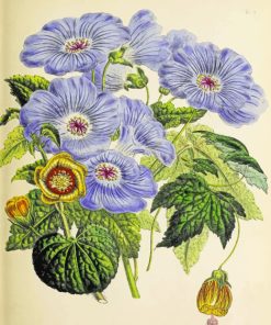 Botanical Flower Paint by numbers