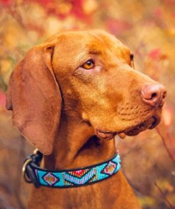 Brown Weimaraner Piant by numbers