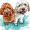 Cockapoo Dogs paint by numbers