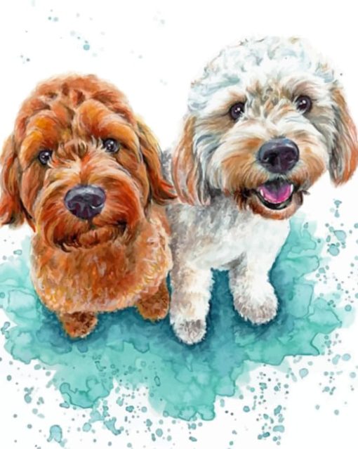 Cockapoo Dogs paint by numbers