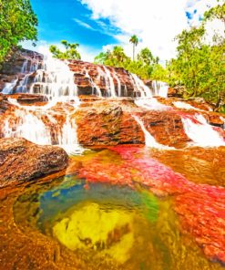 Colombian River paint by numbers