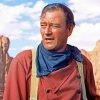 John Wayne paint by numbers