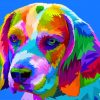 Colorful Beagle paint by numbers