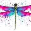 Colorful Dragonfly Paint by numbers