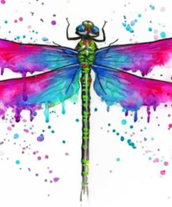 Colorful Dragonfly Paint by numbers