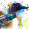 Colorful Loon paint by numbers