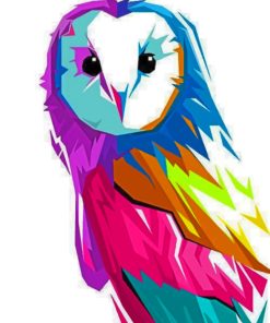 Colorful Owl Pop Art paint by numbers