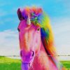 Rainbow Horse Paint by numbers