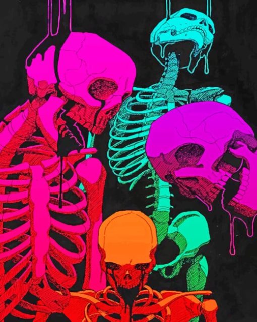 Colorful Skeletons Paint by numbers