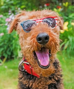 Cool Airedale Terrier paint by numbers