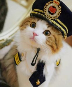 Cute Police Cat Paint by numbers