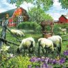 Farm Sheep Paint by numbers