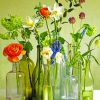 Flowers In Glass Bottles Paint by numbers